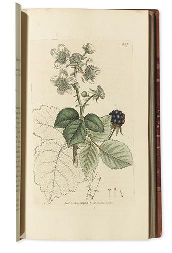(BOTANICAL.) Sowerby, James; and Smith, James Edward. English Botany; Or, Coloured Figures of British Plants.